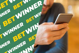 Baji live online betting Your Ultimate Guide to Live Sports Betting